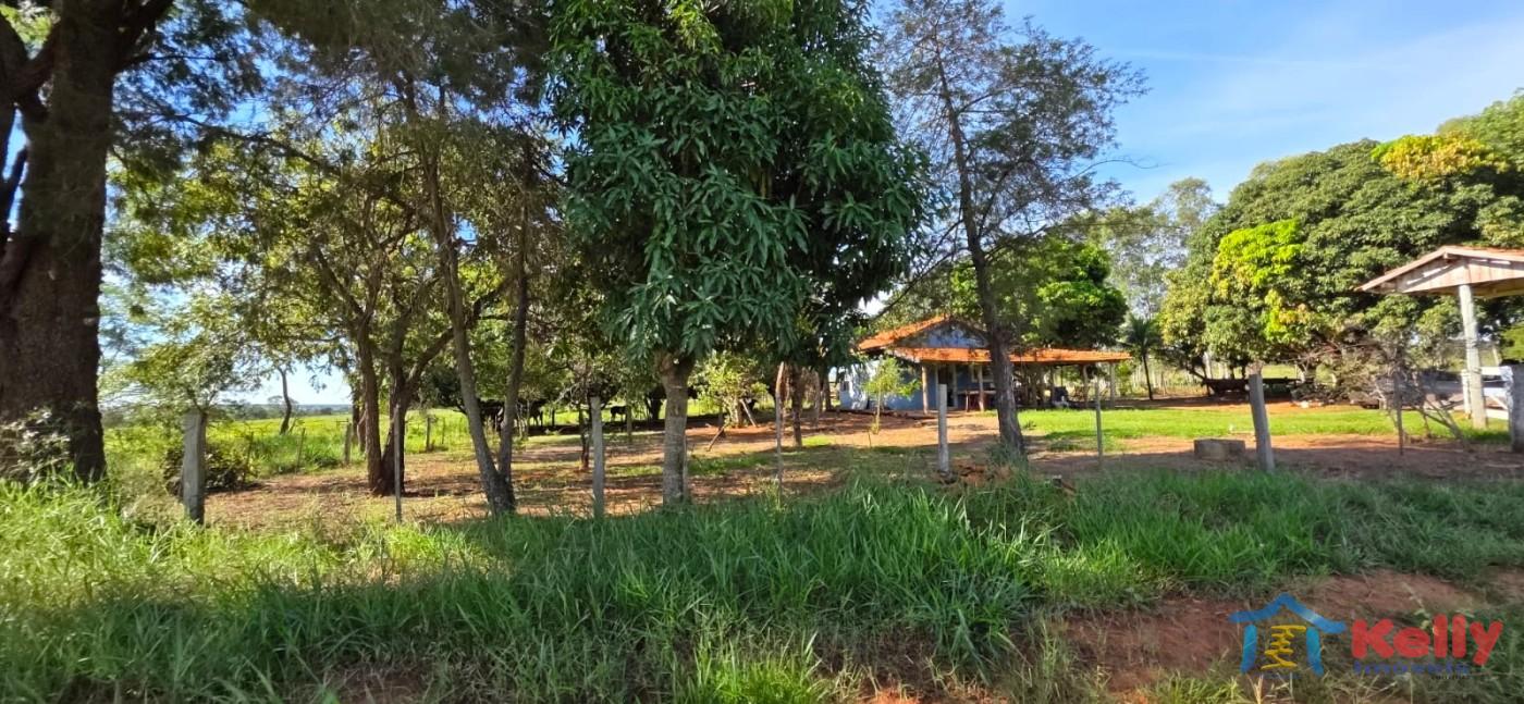 Chácara, 97 hectares - Foto 35