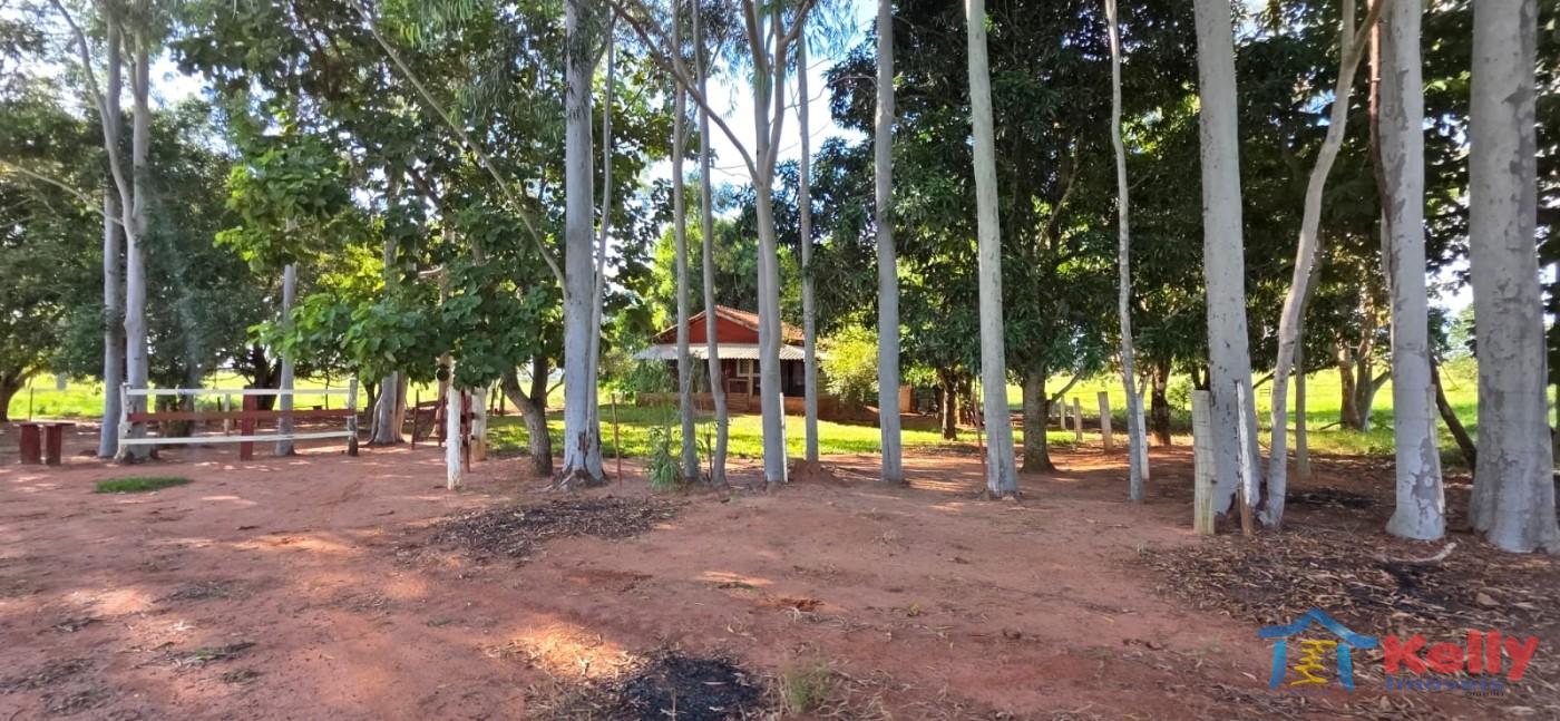 Chácara, 97 hectares - Foto 36