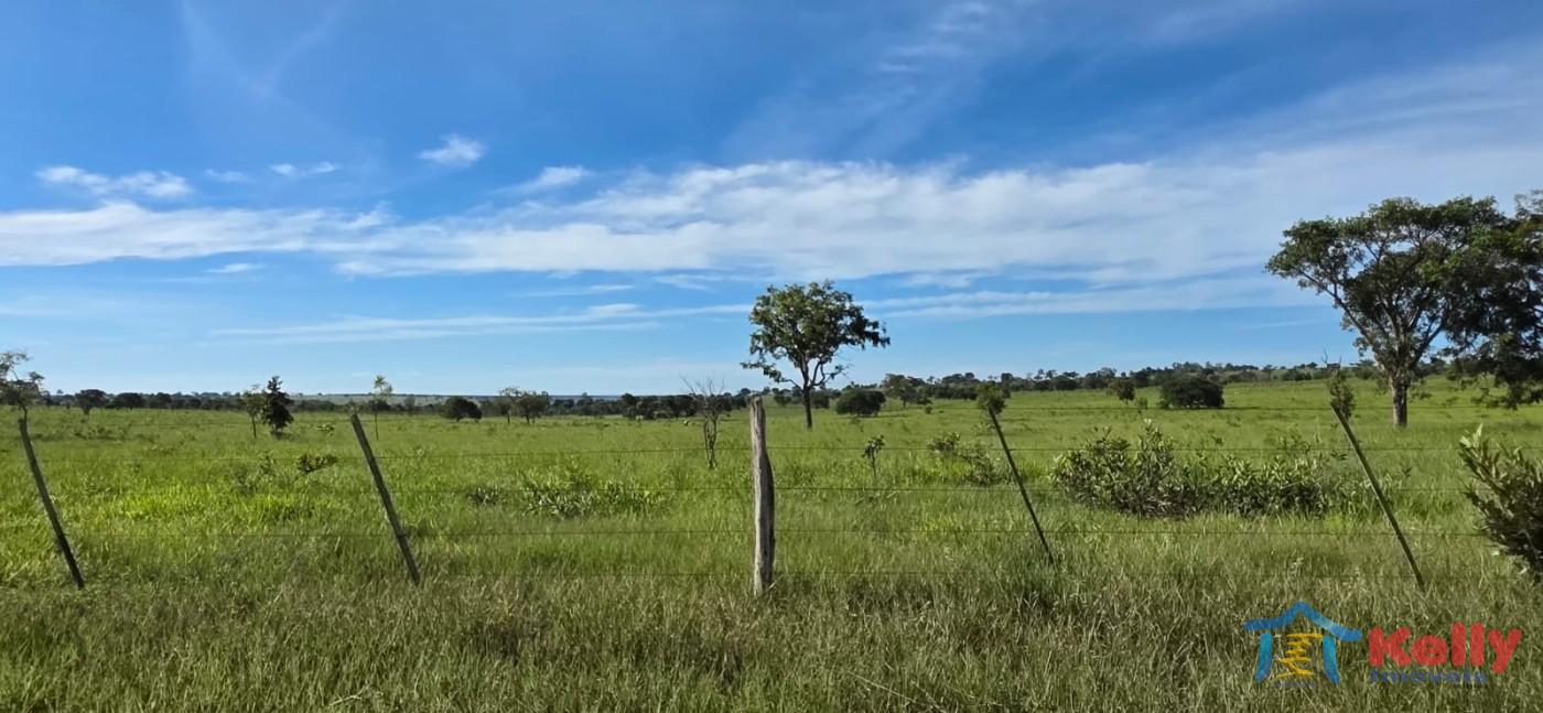 Chácara, 97 hectares - Foto 37