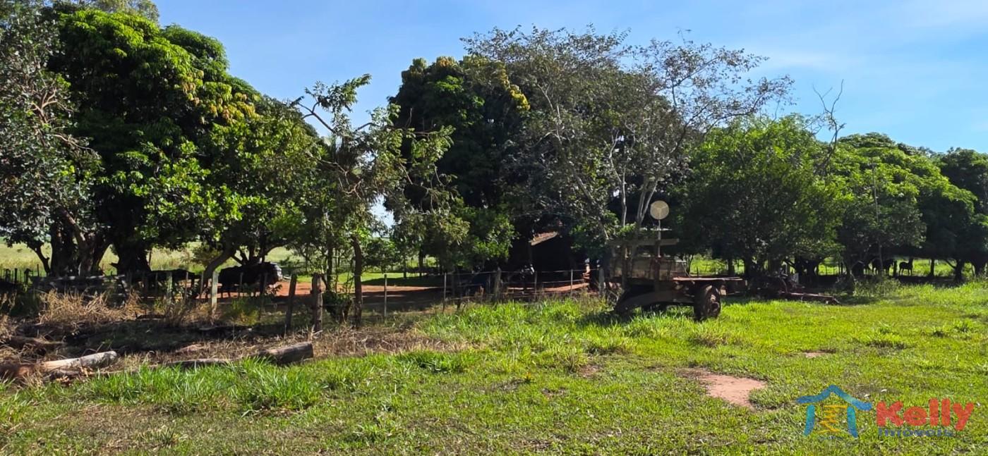 Chácara, 97 hectares - Foto 42
