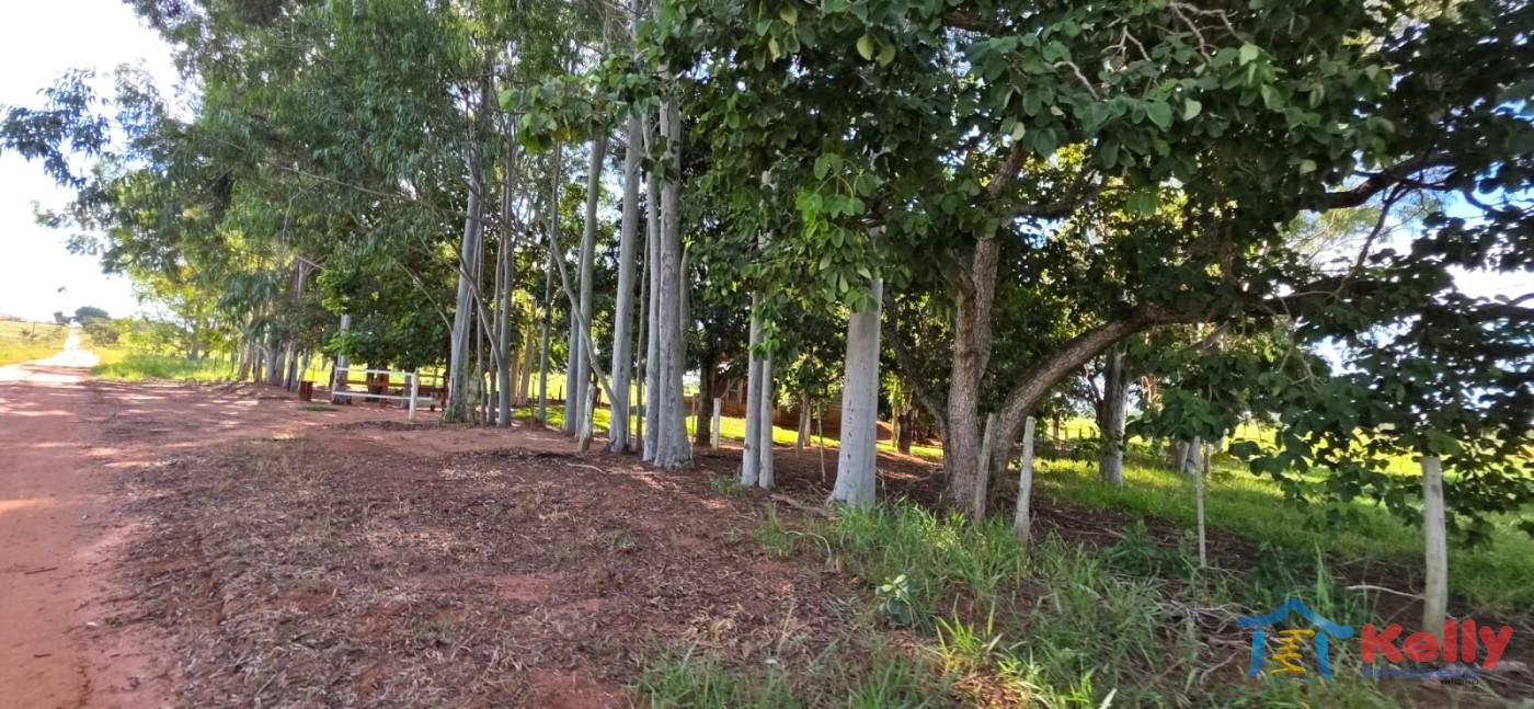 Chácara, 97 hectares - Foto 41