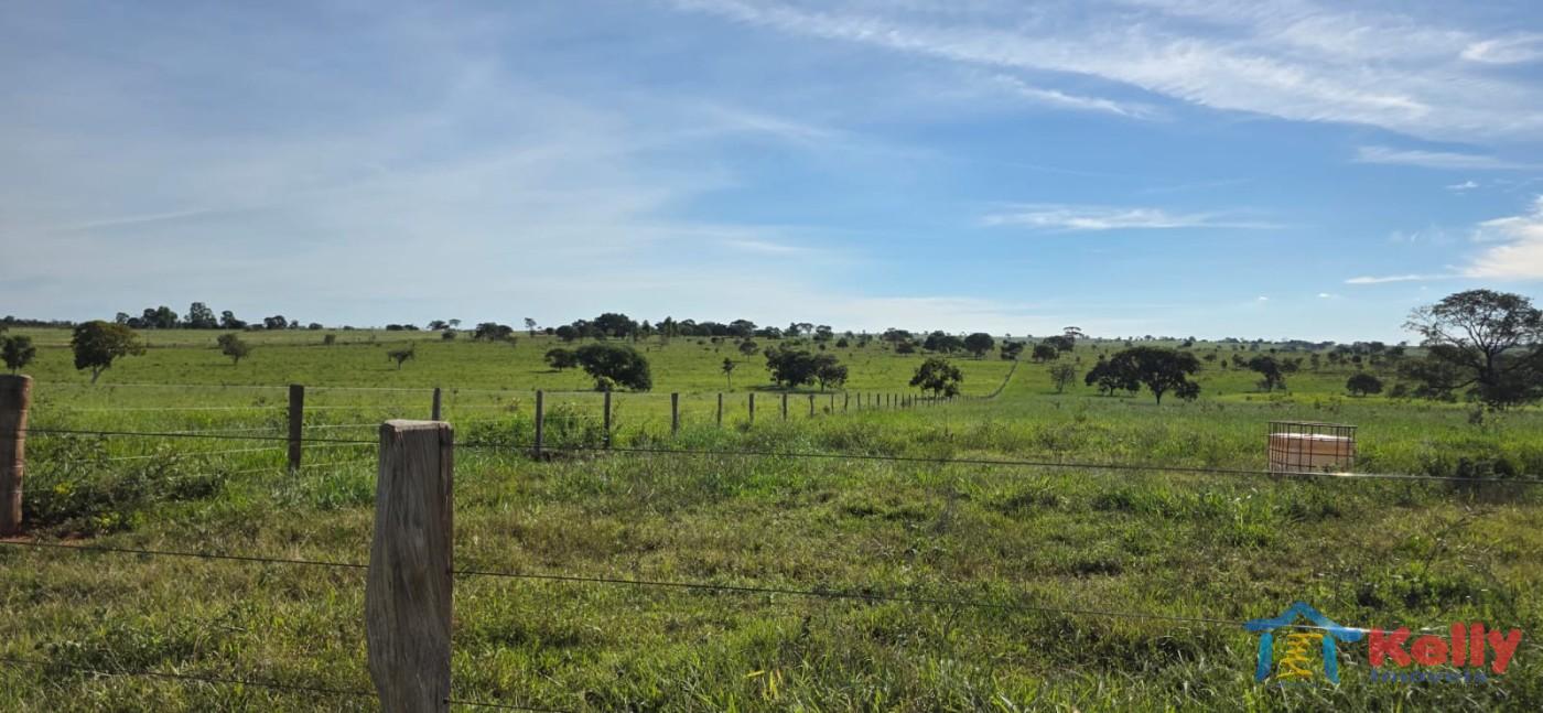 Chácara, 97 hectares - Foto 44