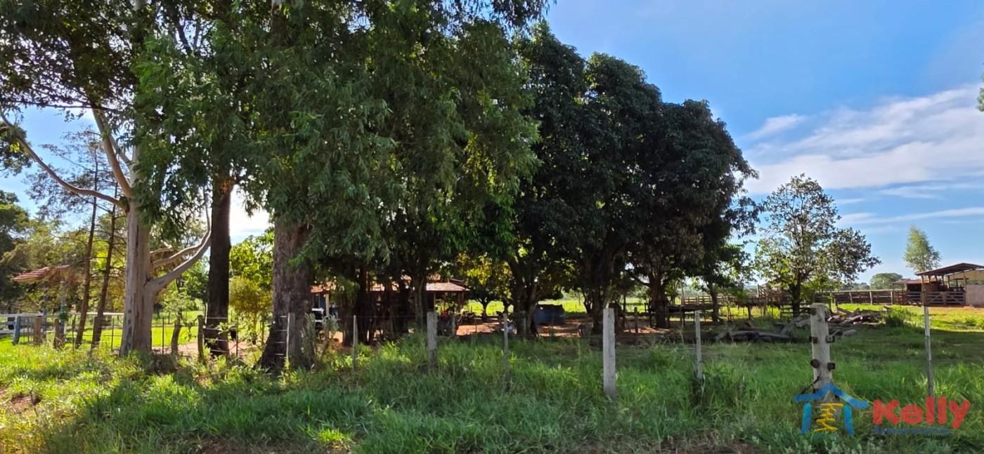 Chácara, 97 hectares - Foto 45
