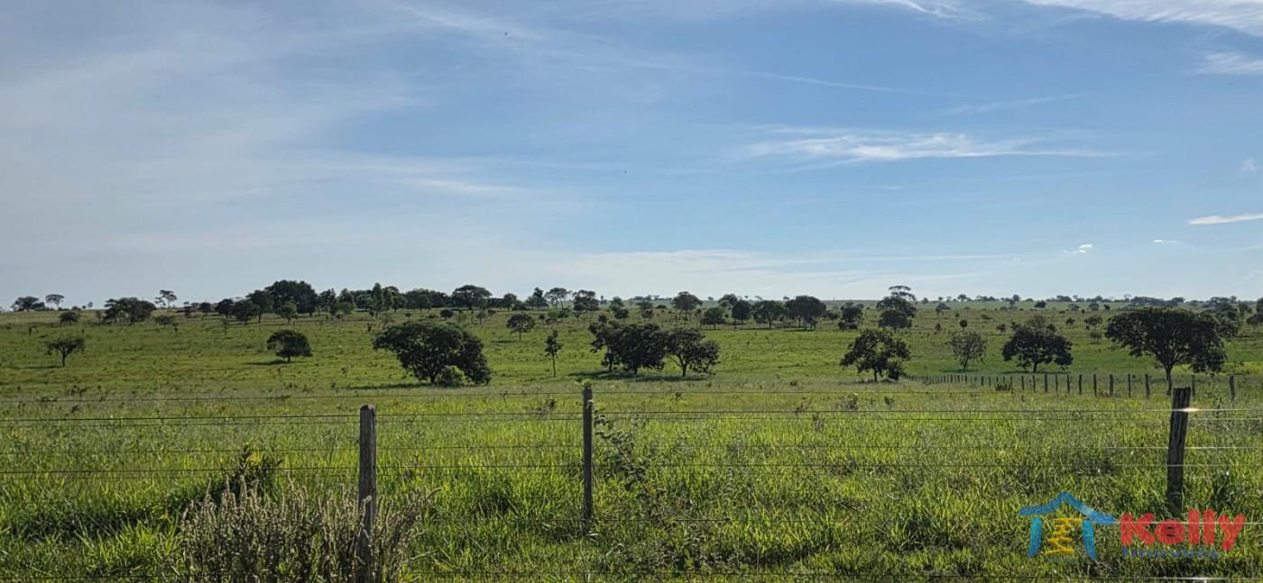 Chácara, 97 hectares - Foto 49