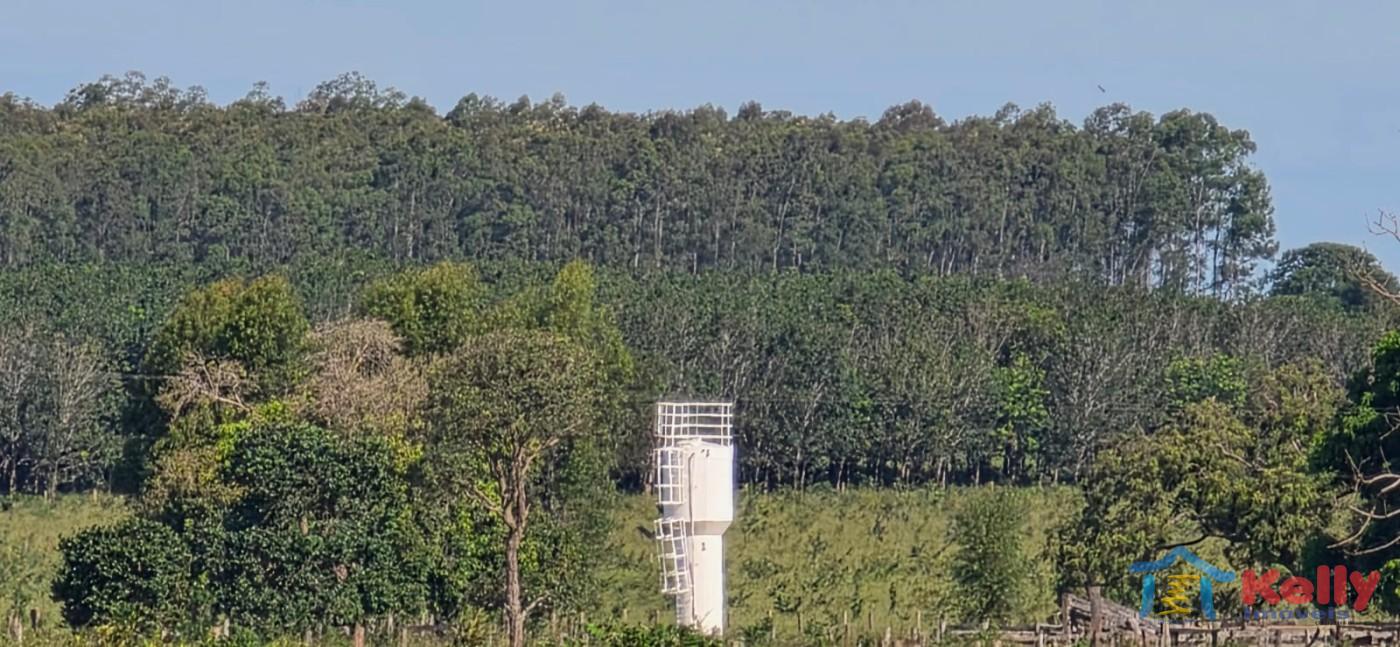 Chácara, 97 hectares - Foto 48