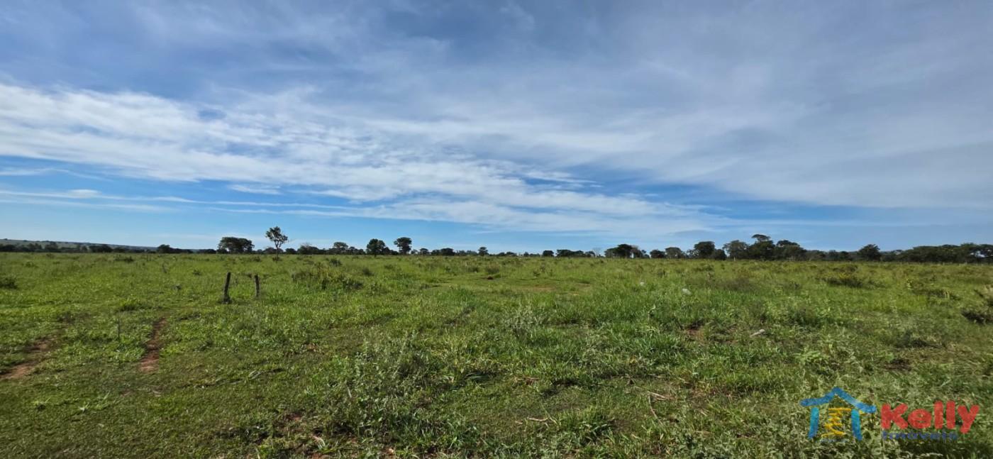 Chácara, 97 hectares - Foto 61