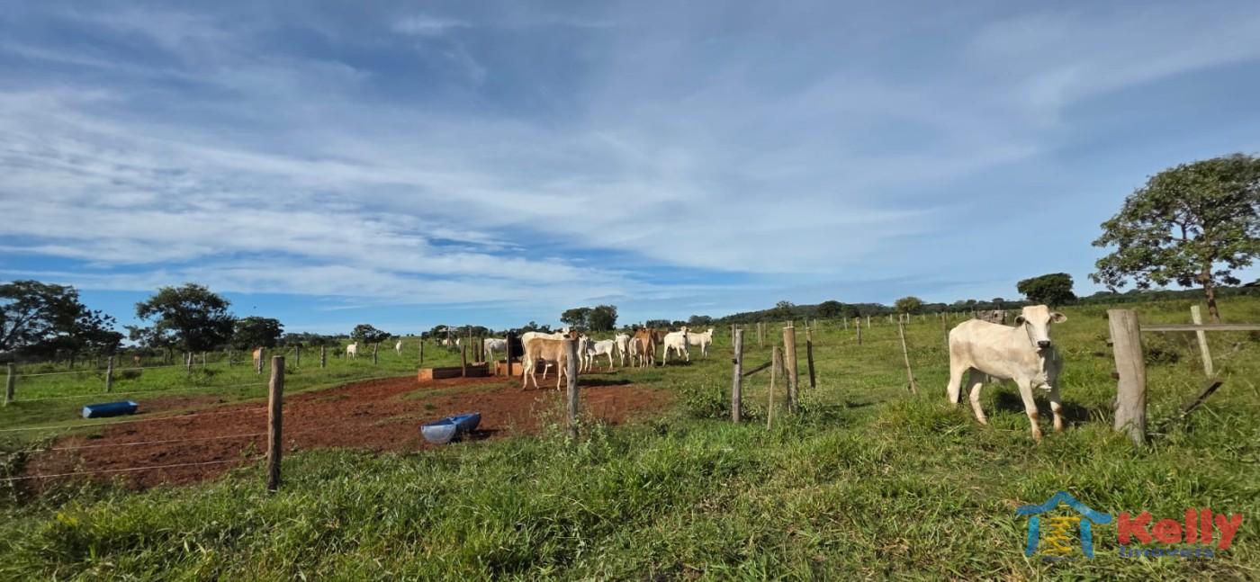 Chácara, 97 hectares - Foto 64