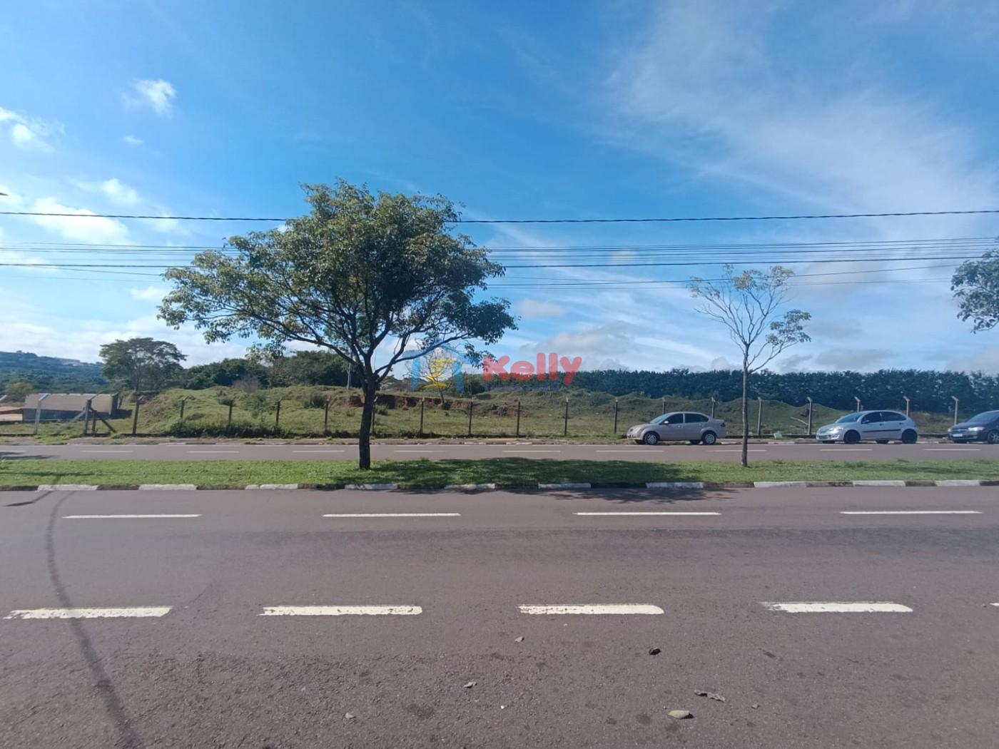 Terreno, 4 hectares - Foto 3