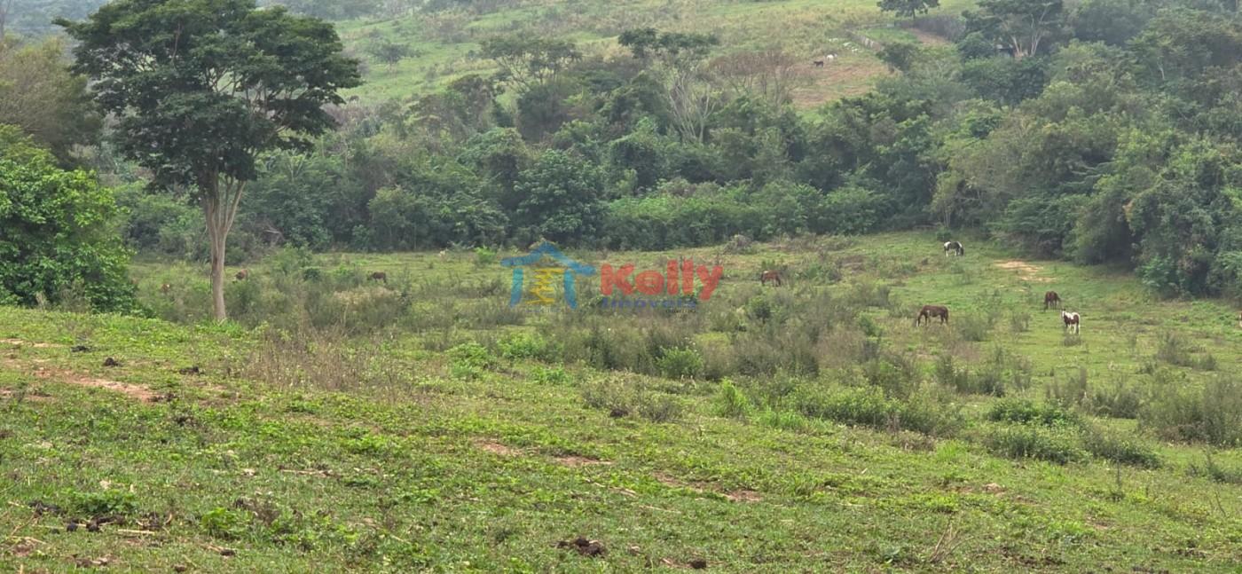 Loteamento e Condomínio, 4 hectares - Foto 11
