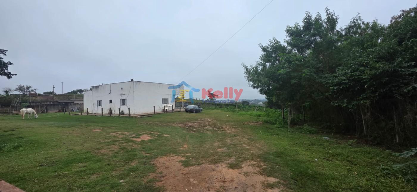 Terreno, 4 hectares - Foto 7